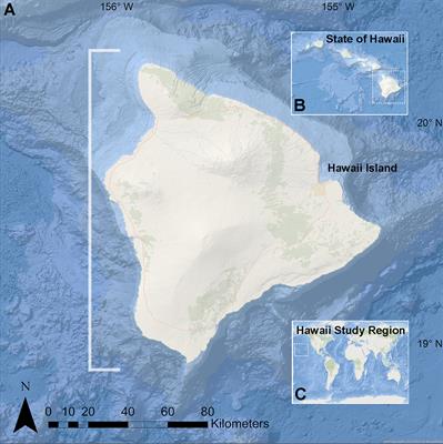 Long-term ecological monitoring of reefs on Hawai’i Island (2003-2020): Characterization of a common cryptic crust, Ramicrusta hawaiiensis (Peyssonneliales, Rhodophyta)